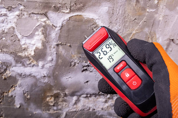Best DIY Mold Remediation Support Services in North Vernon, IN